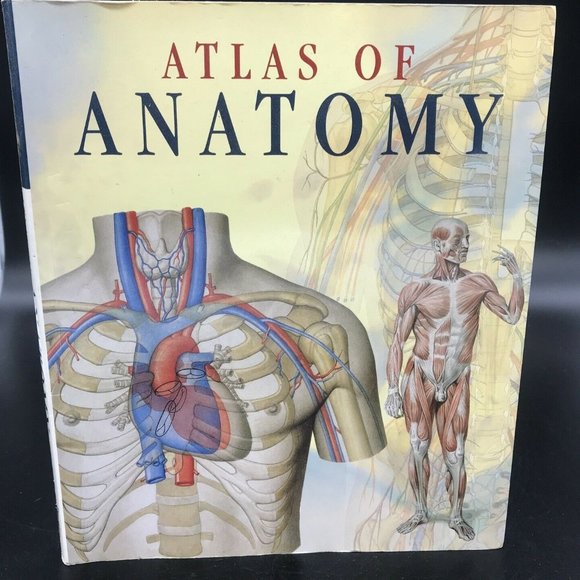Atlas of Human Anatomy (2006, Trade Paperback, Reprint) - Picture 1 of 12